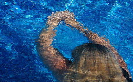 swimming_under_water