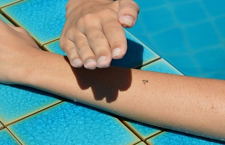 mosquito-on-swimmer-at-pool.jpg