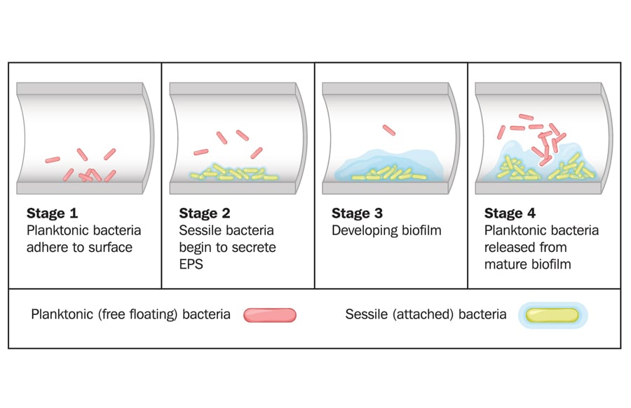 What is Biofilm—and Why it Matters to Your Swimming Pool or Hot Tub
