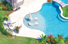 curvy-pool-with-large-curved-sun-shelf