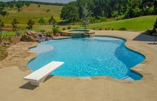 free-form-gunite-pool-with-diving-board