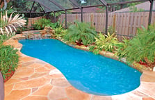 freeform-pool-with-integrated-landscaping