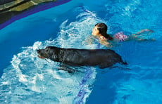 girl-and-dog-swimming-onto-tanning-ledge