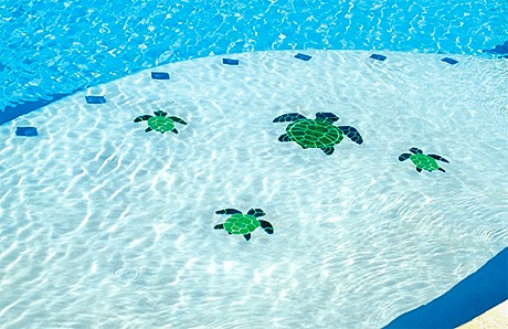 Gunite Pool with Baja Shelf with Turtle Mosaic