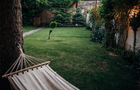 hammock-in-private-backyard