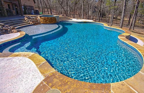 inground-pool-with-curvy-sun-ledge