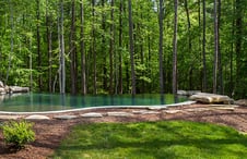 inground-pool-with-green-interior