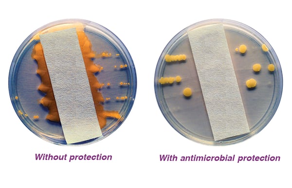 What is Biofilm—and Why it Matters to Your Swimming Pool or Hot Tub