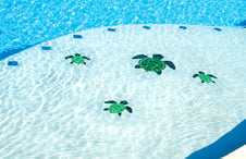 turtle-mosaic-on-pool-step