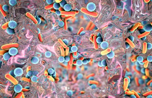 various-bacteria-biofilm