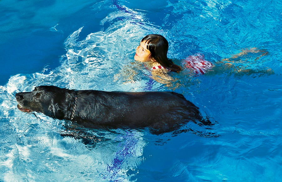 is it ok for a dog to swim in a saltwater pool